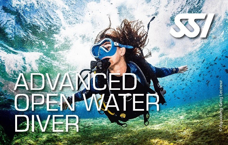 SSI Diving Certification Course product image - Fins