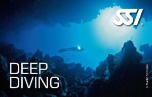 SSI Diving Certification Course product image - Fins