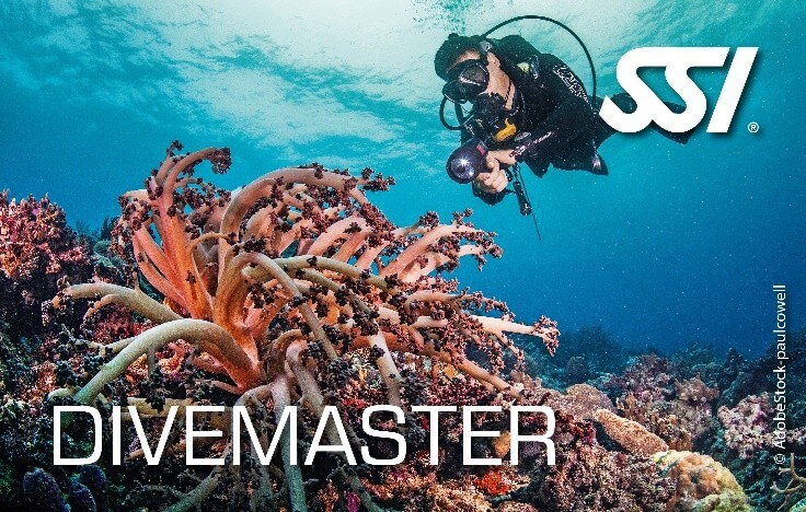 SSI Diving Certification Course product image - Fins