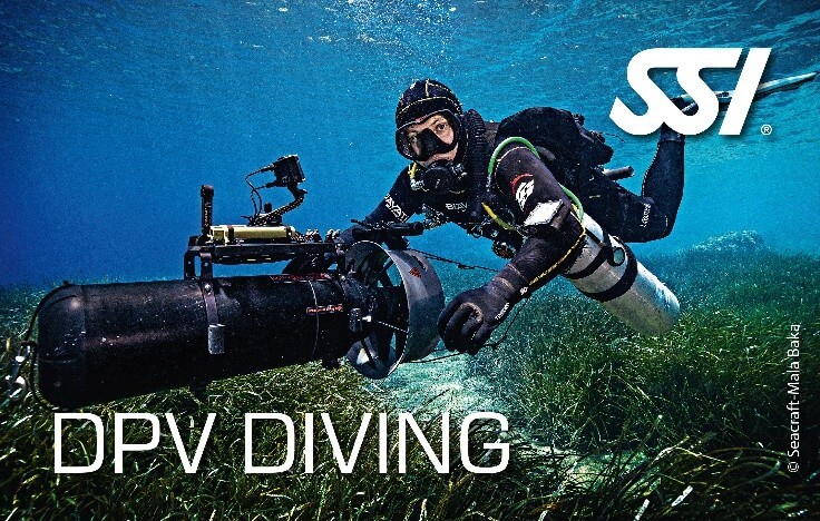 SSI Diving Certification Course product image - Fins