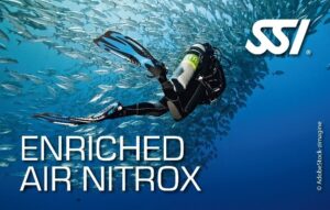 SSI Diving Certification Course product image - Fins