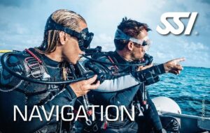 SSI Diving Certification Course product image - Fins