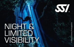 SSI Diving Certification Course product image - Fins
