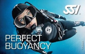 SSI Diving Certification Course product image - Fins