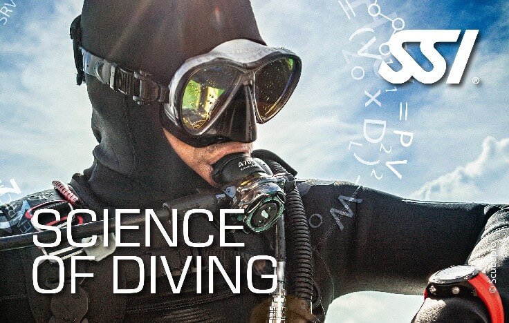 SSI Diving Certification Course product image - Fins