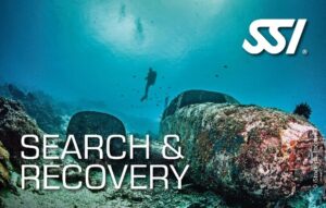 SSI Diving Certification Course product image - Fins