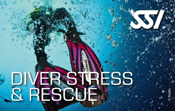 SSI Diving Certification Course product image - Fins