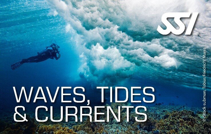SSI Diving Certification Course product image - Fins
