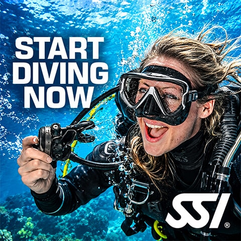 SSI - Scuba Schools International - my.divessi.com - Register Now